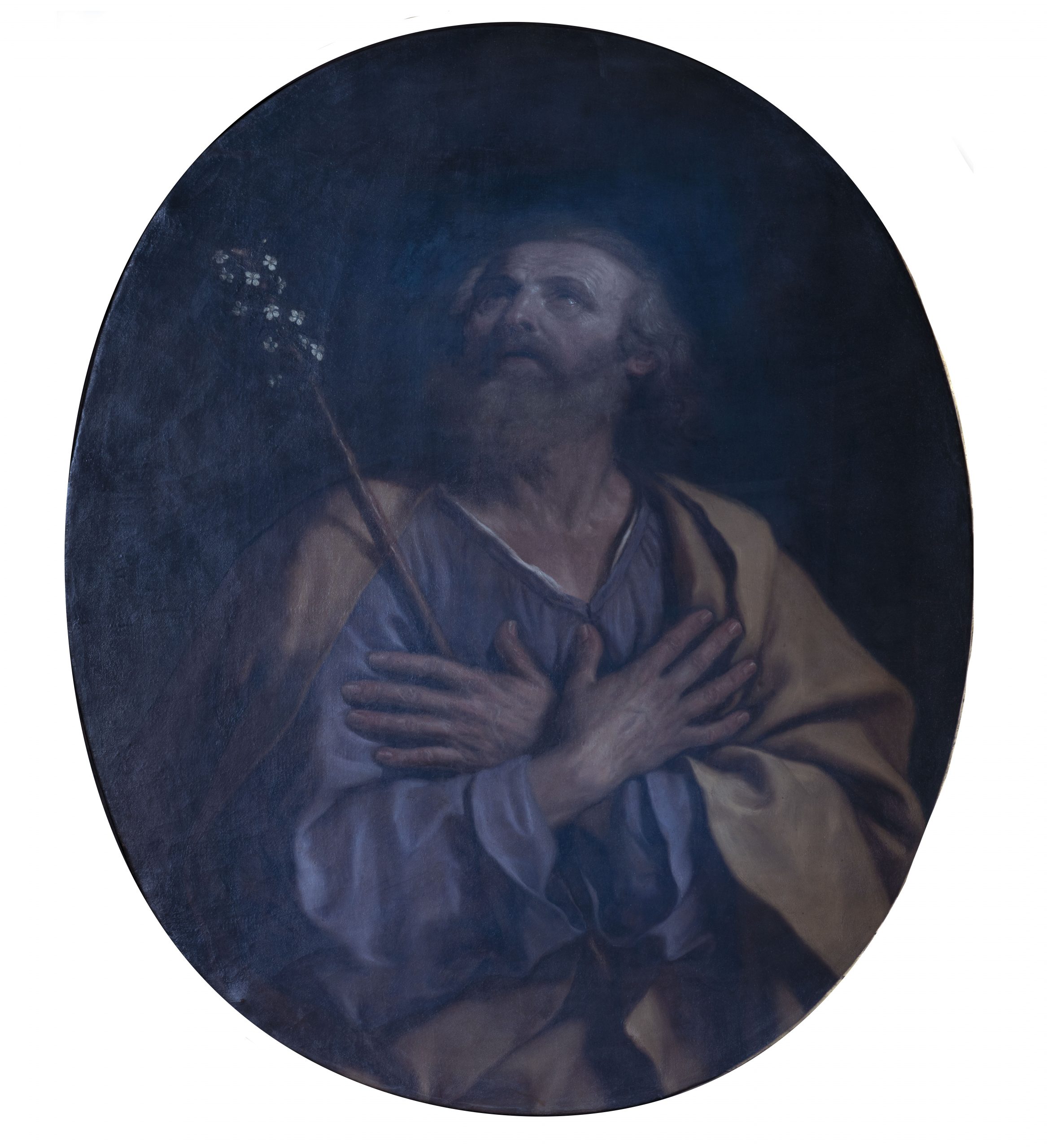 San Giuseppe, Immagine in fluorescenza visibile indotta da radiazione ultravioletta (UVF)