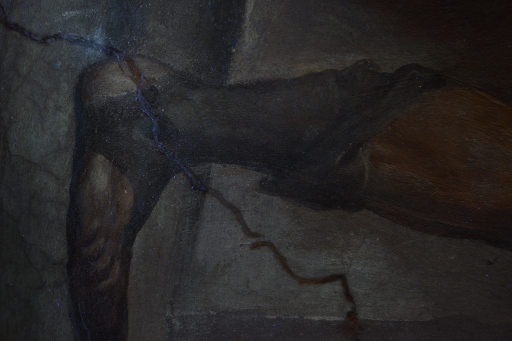 Gamba del San Rocco, particolare in luce UV.