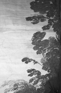 Elementi paesaggistici, particolare in infrarosso.