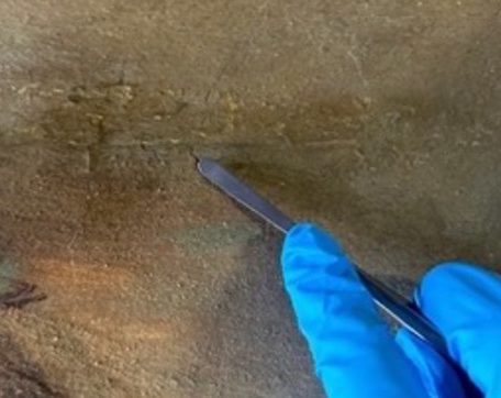 Consolidamento della pellicola pittorica